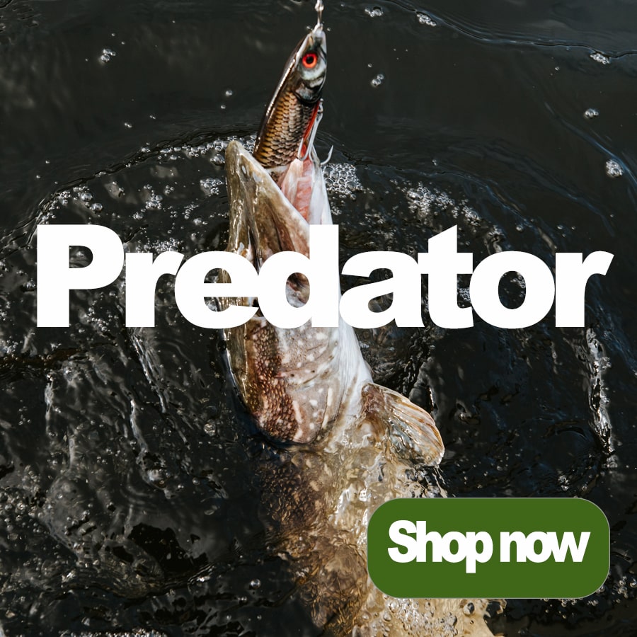 Predator Fishing